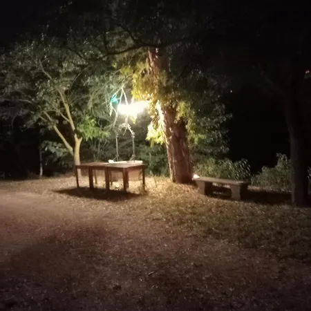 Apartament La Casa Di Flora Spoltore