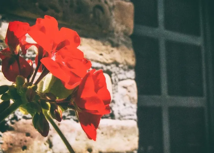 La Casa Di Flora * Спольторе