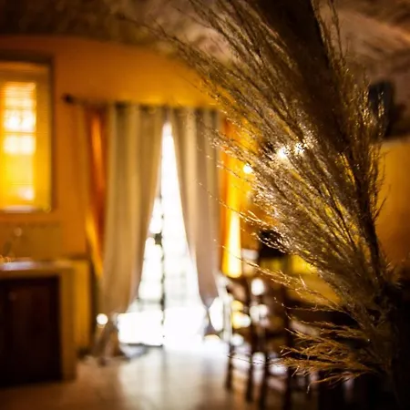 La Casa Di Flora Apartment
